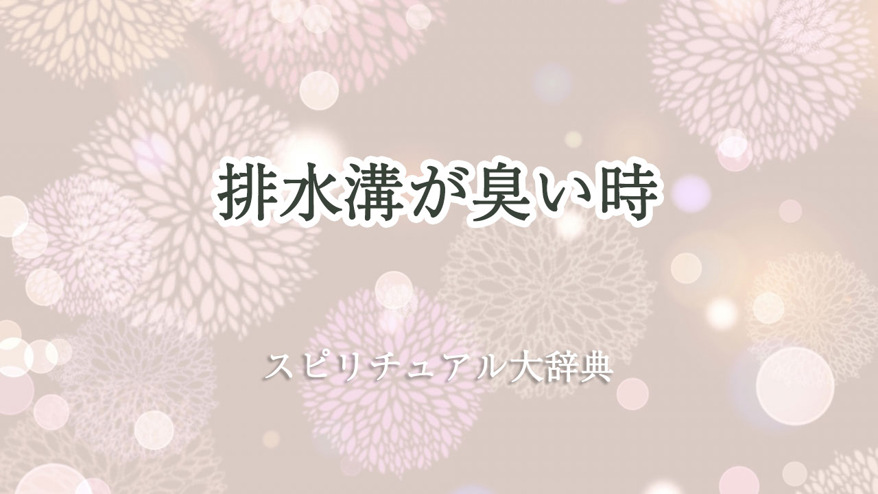 排水 溝 臭い スピリチュアル