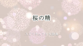 桜の 精 スピリチュアル