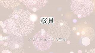 桜貝 スピリチュアル