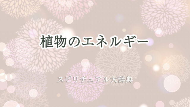 植物 の エネルギー スピリチュアル