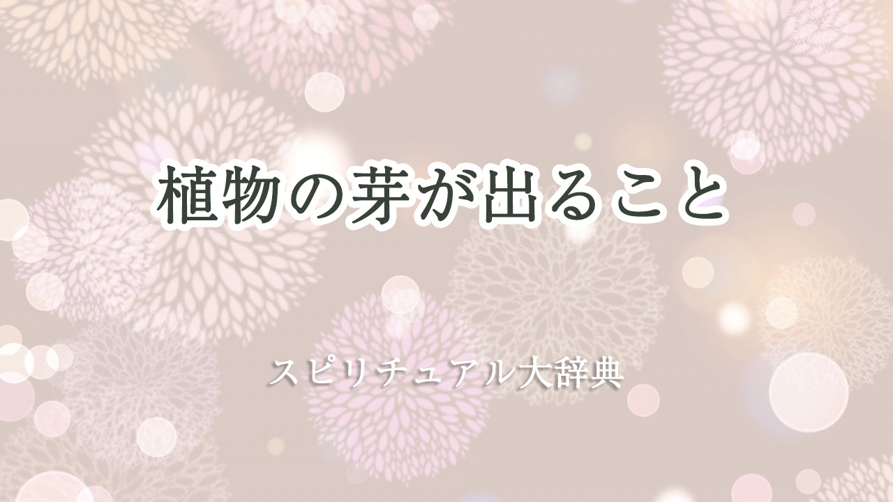 植物 芽 が 出る スピリチュアル