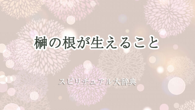 榊 根 が 生える スピリチュアル