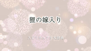 狸 の 嫁入り スピリチュアル