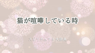 猫 喧嘩 スピリチュアル