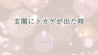 玄関にトカゲが出た時のスピリチュアルな意味とサイン