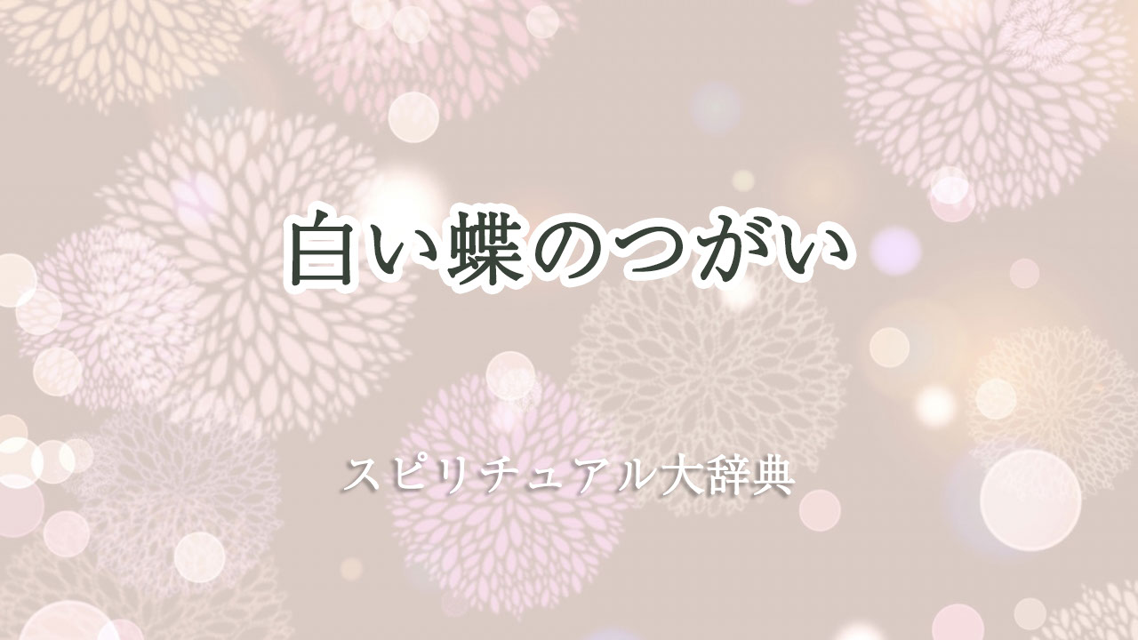 白い 蝶 つがい スピリチュアル