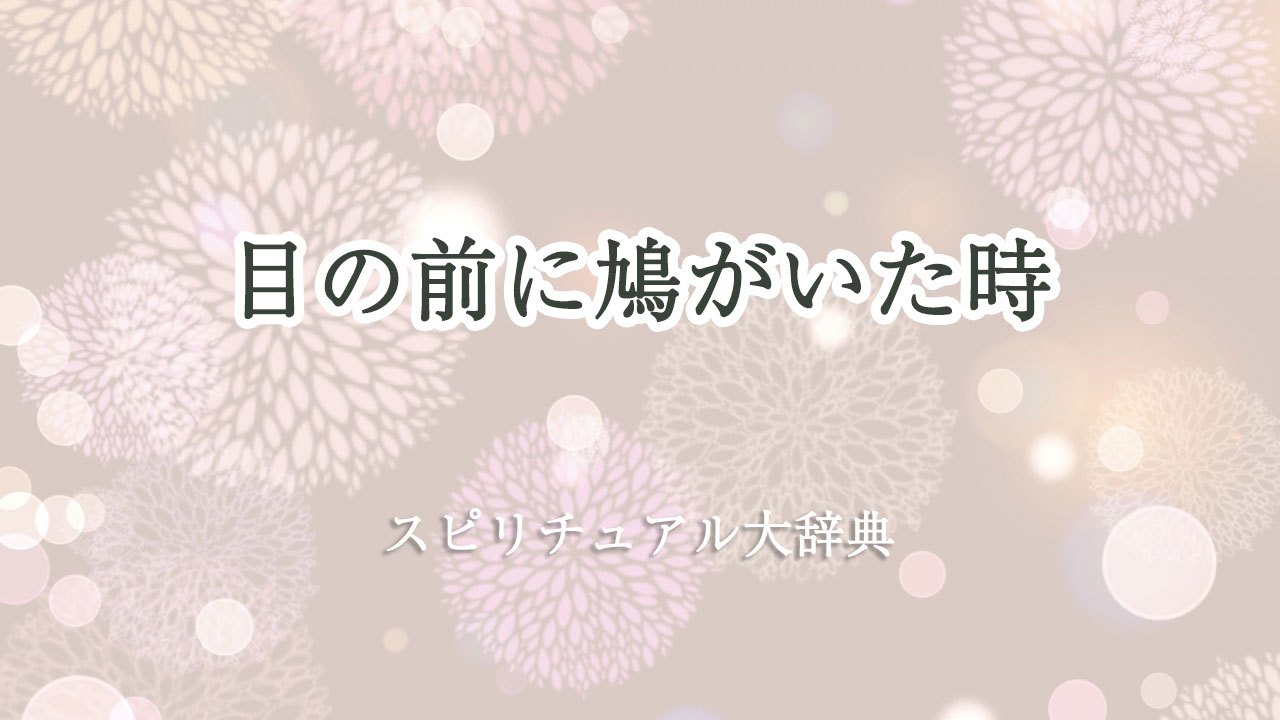 目 の 前 に 鳩 スピリチュアル