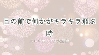 目 の 前 キラキラ 飛ぶ スピリチュアル
