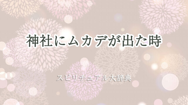 神社 ムカデ スピリチュアル