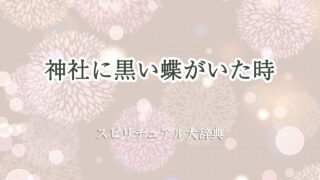 神社 黒い 蝶 スピリチュアル