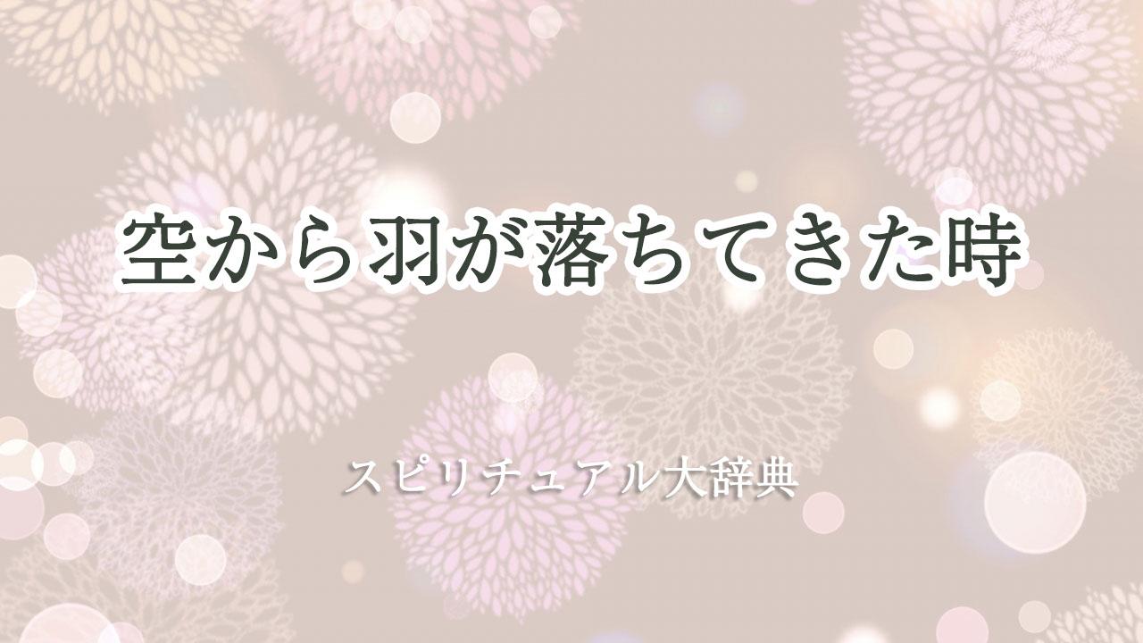 空 から 羽 が 落ち てき た スピリチュアル