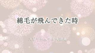 綿毛 飛ん でき た スピリチュアル