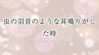 耳鳴り 虫 の 羽音 スピリチュアル