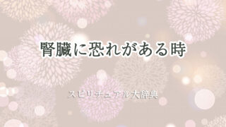 腎臓 恐れ スピリチュアル