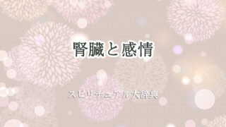 腎臓 感情 スピリチュアル