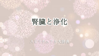 腎臓 浄化 スピリチュアル