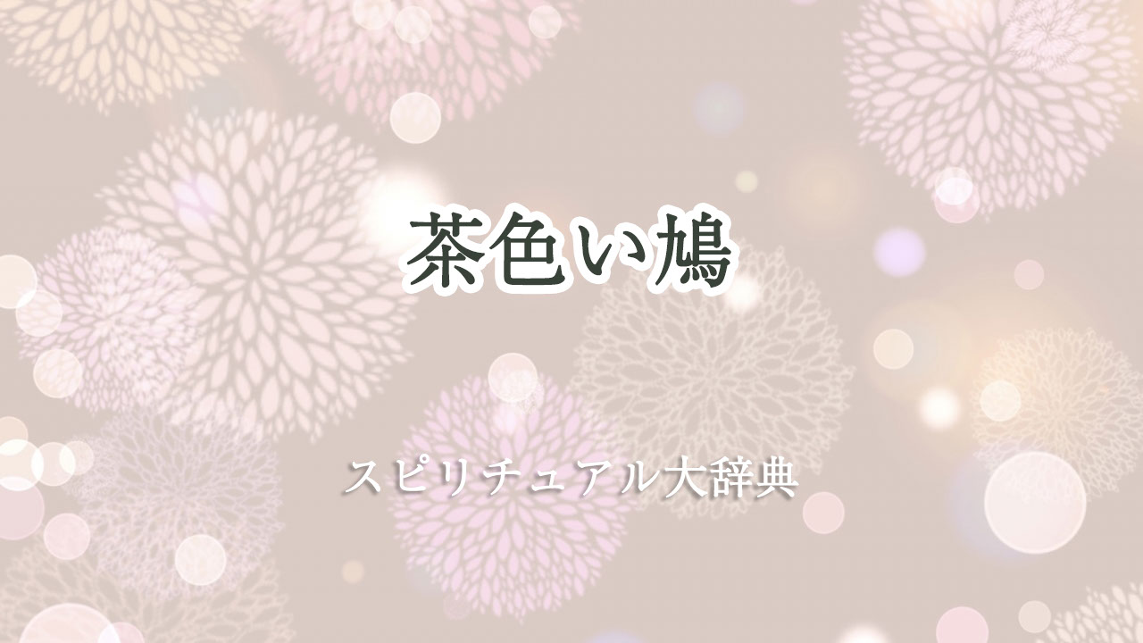 茶色い 鳩 スピリチュアル