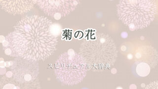 菊 の 花 スピリチュアル