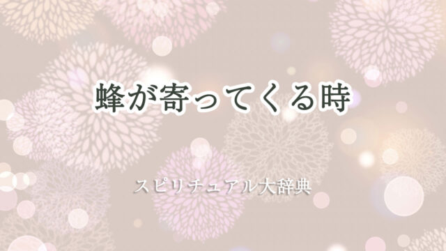 蜂 が 寄っ て くる スピリチュアル