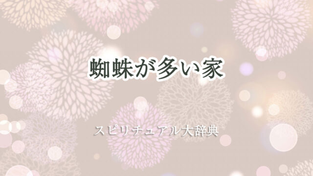 蜘蛛 が 多い 家 スピリチュアル