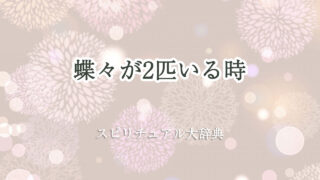 蝶々 2 匹 スピリチュアル