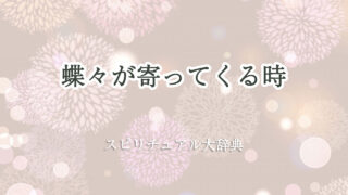 蝶々 が 寄っ て くる スピリチュアル