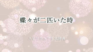 蝶々 二 匹 スピリチュアル