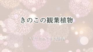 観葉 植物 きのこ スピリチュアル