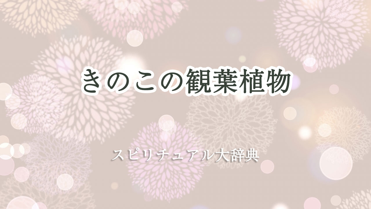 観葉 植物 きのこ スピリチュアル