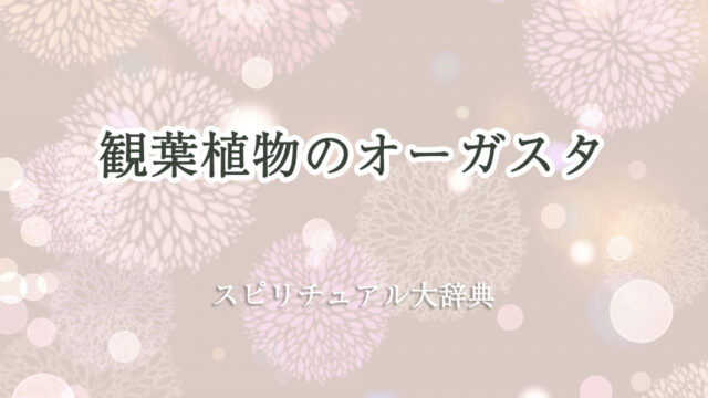 観葉植物のオーガスタのスピリチュアルな意味とサイン