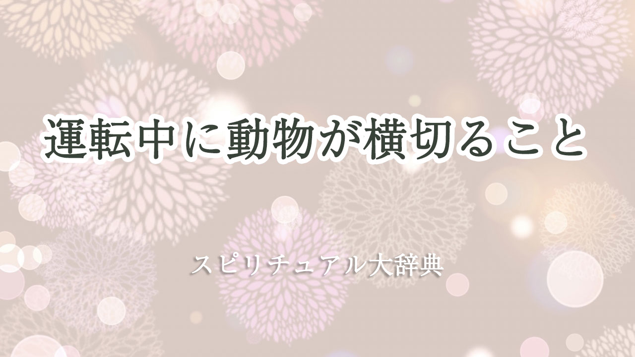 運転 中 動物 が 横切る スピリチュアル