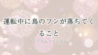 運転 中 鳥 の フン スピリチュアル