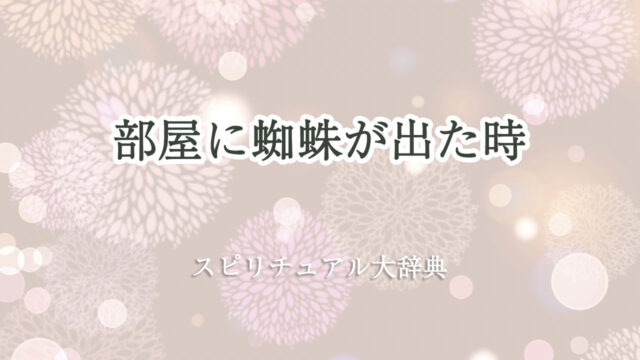 部屋 に 蜘蛛 スピリチュアル