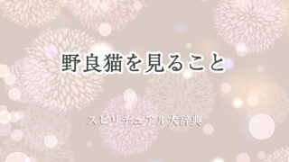 野良猫 を 見る スピリチュアル
