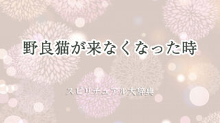野良猫 来 なくなっ た スピリチュアル