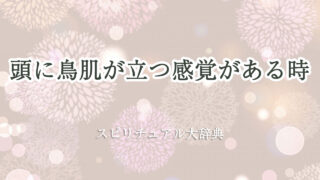 頭 鳥肌 立つ 感覚 スピリチュアル
