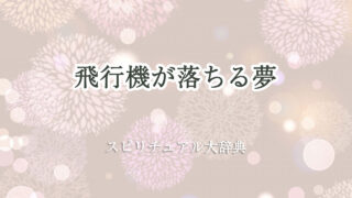 飛行機 が 落ちる 夢 スピリチュアル
