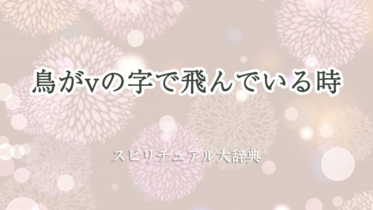 鳥 v の 字 スピリチュアル