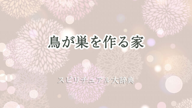 鳥 が 巣 を 作る 家 スピリチュアル