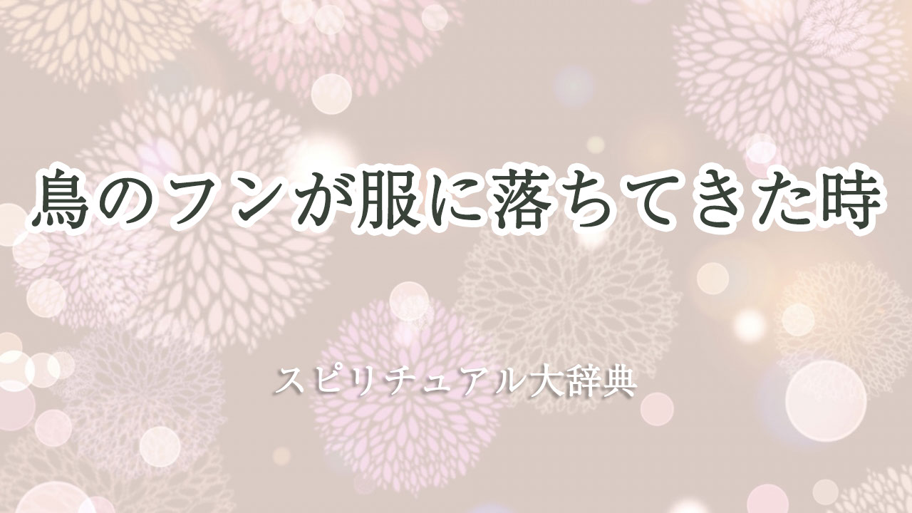 鳥 の フン 落ち てき た 服 スピリチュアル