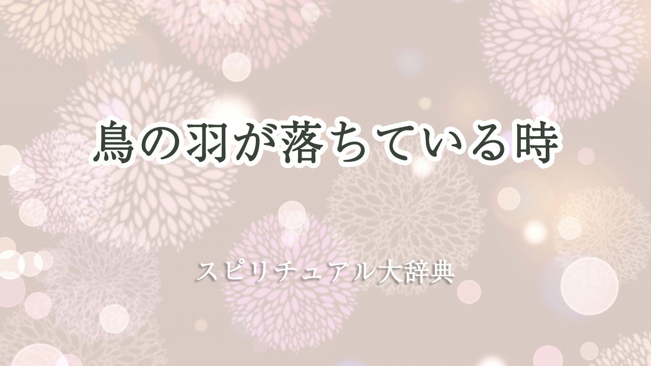 鳥 の 羽 が 落ち て いる スピリチュアル