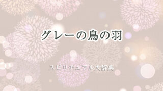 鳥 の 羽 スピリチュアル グレー