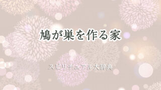 鳩 が 巣 を 作る 家 スピリチュアル