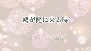 鳩 が 庭 に 来る スピリチュアル