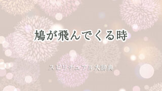 鳩 が 飛ん で くる スピリチュアル
