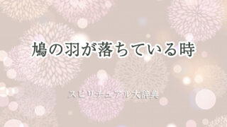 鳩 の 羽 が 落ち て いる スピリチュアル