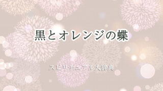 黒 オレンジ 蝶 スピリチュアル