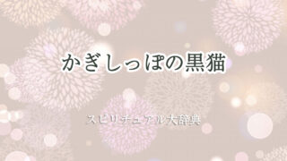 黒 猫 かぎしっぽ スピリチュアル
