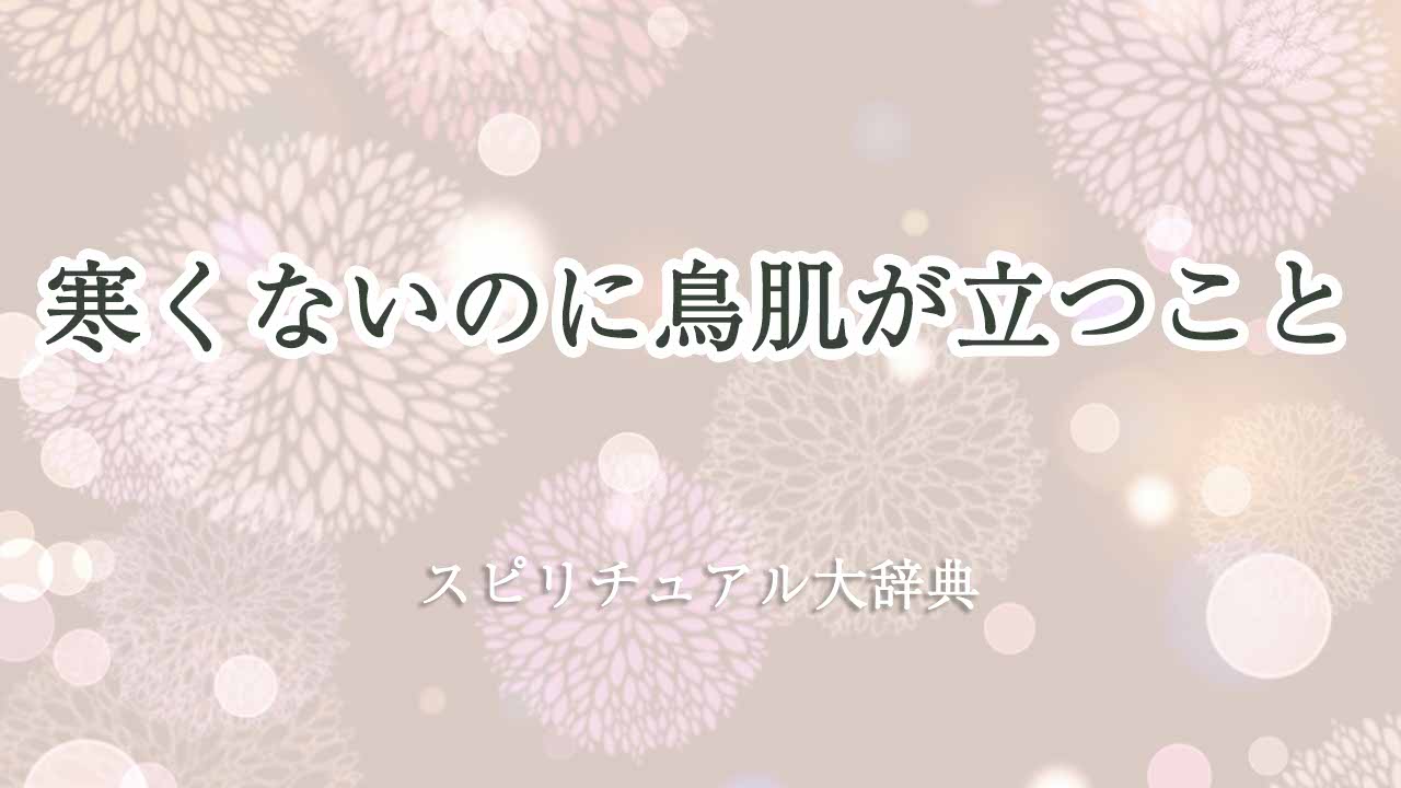 寒くないのに鳥肌が立つことのスピリチュアルな意味とサイン｜スピリチュアル大辞典：Tomaful