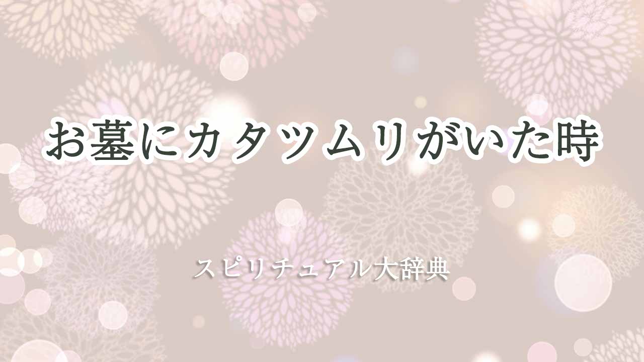 お墓-カタツムリ-スピリチュアル